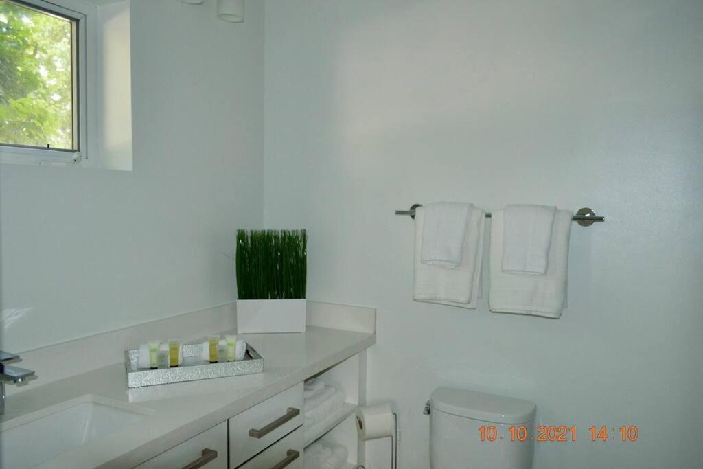 Across The Ocean Few Steps To Beach Contemporary Three Bedroom Townhouse ポンパノビーチ エクステリア 写真